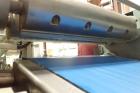 2009 Anko Spring Roll Production Line